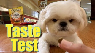 Borgy Goes to the Pet Store to Buy A New Dog Food (Cute & Funny Dog Video)