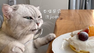 猫王化身叮当猫，在线做起铜锣烧