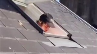 Trải nghiệm đi tiểu đầy đủ