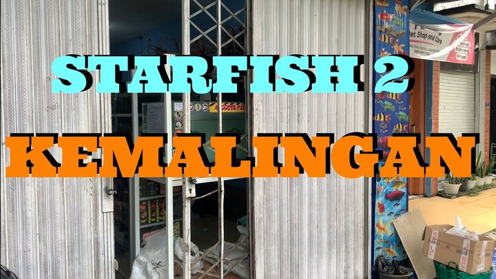 STARFISH 2 DIBOBOL MALING—MOTA MARU JUMBO DI CURI