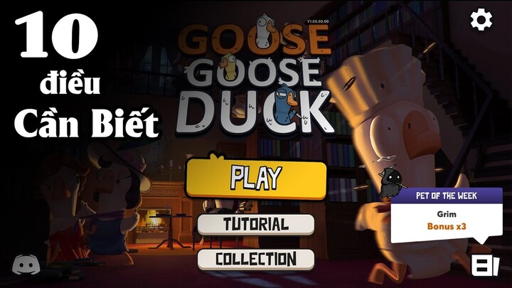 10 Điều Cần Biết Khi Chơi Goose Goose Duck - Game Giống Among Us Siêu Cute