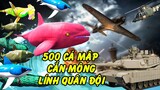 GTA 5 - Mod 500 anh em cá mập đầy màu sắc vào khu quân đội cắn bậy - Thực hiện thử thách Fan | GHTG
