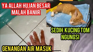 Astagfirullah Basecamp Cats Lovers Tv Kena Banjir Kucing Tom Ngungsi Di Ruang Tamu..!