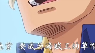 Ace Sabo đang thể hiện sự bảo vệ dành cho em trai Luffy của mình mọi lúc! !