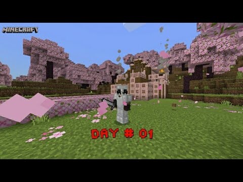 I Made New House And Ultimate Iron Armour In Minecraft Pocket Edition