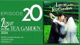 🇨🇳EP20 Love In The Tea Garden (2024)
