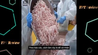 Quy trình sản xuất súp Thịt Bò trong nhà máy nổi tiếng Hàn Quốc | LT Review