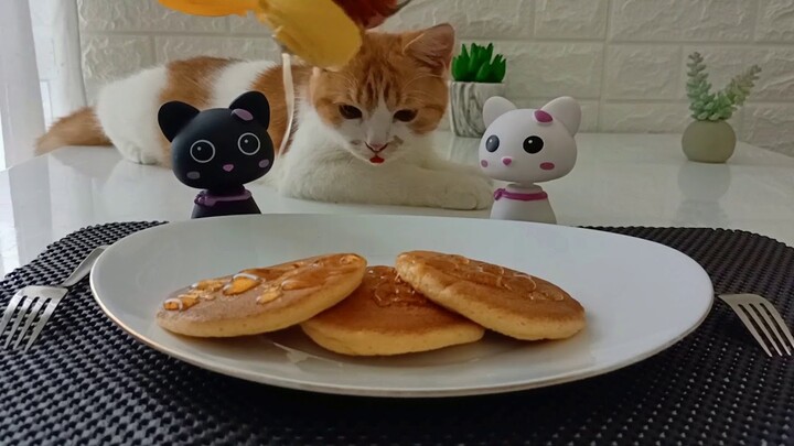 Kucing Ikutan Dalam Membuat Konten Memasak Pancake