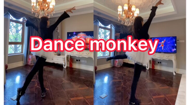 Dance monkey aerobic ballet