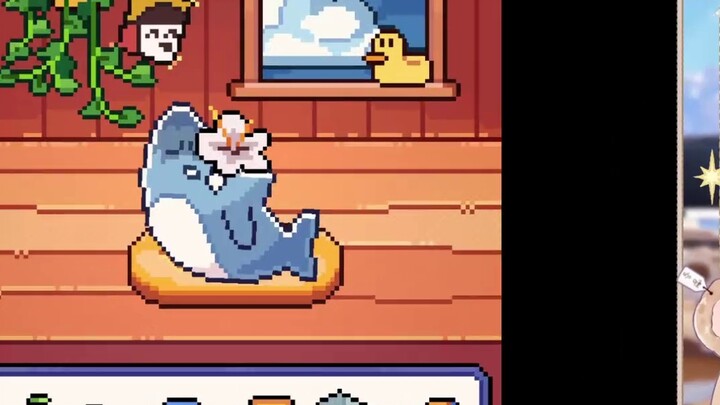 It's really healing to have a little shark.
