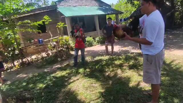 First fight lemon sweater