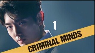 Criminal Minds (Tagalog) Episode 1 2017 1080P