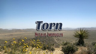 Torn - KARAOKE VERSION - as popularized by Natalie Imbruglia