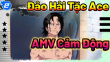 Đảo Hải Tặc Ace 
AMV Cảm Động_2