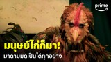 Comedy Island (ภารกิจฮาแหกเกาะ) [EP.2] - มนุษย์แม่ไก่ก็มา มาดามมดทำได้ทุกอย่าง 😂 | Prime Thailand