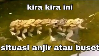 Asupan meme absurd yang saya temukan di internet part #39