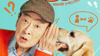 Dog Know Everyting Episode 10 Sub Indo