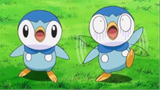 Gible x Piplup Moment pokemon