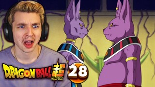 Beerus has a BROTHER??