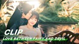 Dongfang Qingcang is Tapped in a Dream with Orchid | Love Between Fairy and Devil EP32 | 苍兰诀 | iQIYI