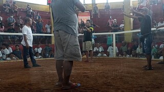 cagsawa win