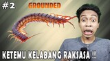 DI KEJAR KELABANG DAN LABA LABA RAKSASA !!! - Grounded Indonesia - Part 2