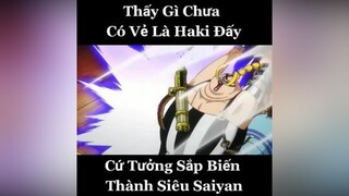 Vua Hải Tặc skillanime zoro queen anime onepiece xuhuong