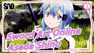 Sword Art Online-Click in to see your wife, Asada Shino_3