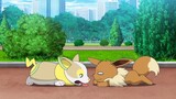 Film dan Drama|Pokémon-Yamper