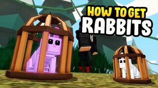 How to Get RABBITS!! in Roblox Islands