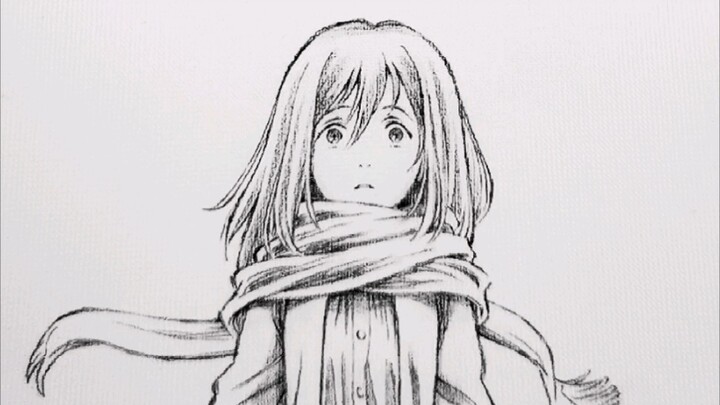 Tôi đã từng rất thích Mikasa