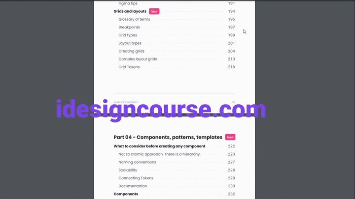 UI Design Systems Mastery - Marina Budarina