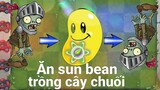 Chuyện lạ: Zombie ăn sun bean bị lộn ngược trồng cây chuối - plants vs zombies 2 - pvz2 - pvz 2