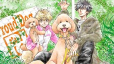 Dog Signal - Tập 12 [Việt sub]
