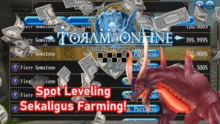 Flare Volg: Tempat Leveling Dan Farming Terjos Gandos Buat Level Bogel!