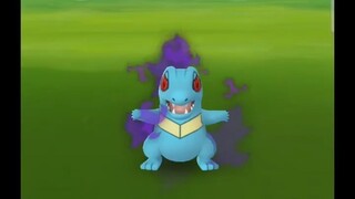 Pokémon GO-Shadow Totodile