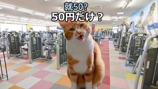 【熟/猫meme】健身房打工の黑暗