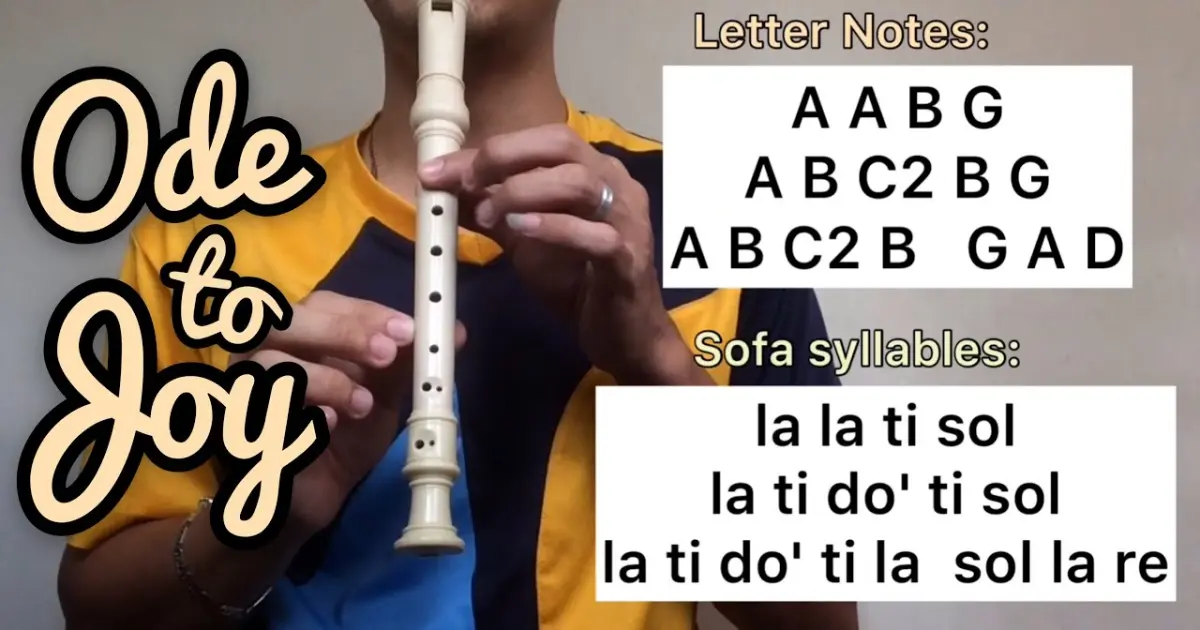 Ode to Joy | Recorder Letter Notes and Sofa Syllables / Flute Chords -  Bilibili