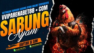 DAFTAR SITUS JUDI ONLINE TERLENGKAP