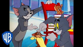 Tom & Jerry em Português | Tom e Jerry são amigos? | WB Kids