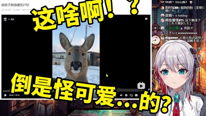 日本天然小姐姐看《被狍子颜值硬控27秒》