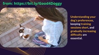 Embracing Positive Reinforcement Techniques in Dog Training