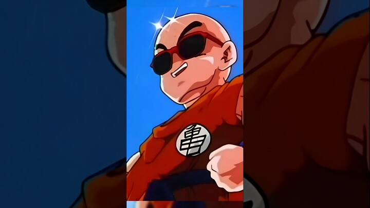 Why Doesn't Krillin Have A nose?