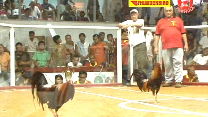 Classic Sabong Fights... Nene Abello vs. Tan Brothers Thunderbird Boracay Challenge 2010