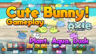 Cute Bunny Gameplay! Season 19, DAP [Axie Infinity]