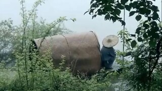 老人家，摆个渡行吗