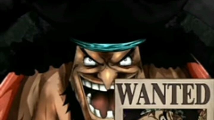 One piece wanted pirates