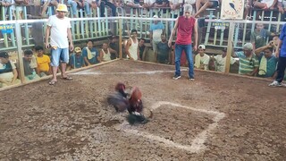 (BALINGOAN COCKPIT 3WINS MAY 26 2023) Score:0-1-0 2ND FIGHT- WIN