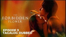 The Forbidden Flower Episode 9 Tagalog Dubbed