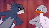 Hoạt Hình Tom Và Jerry   Mèo Tom sàm sỡ cô vịt     Tom và Jerry Mới Nhất 2020